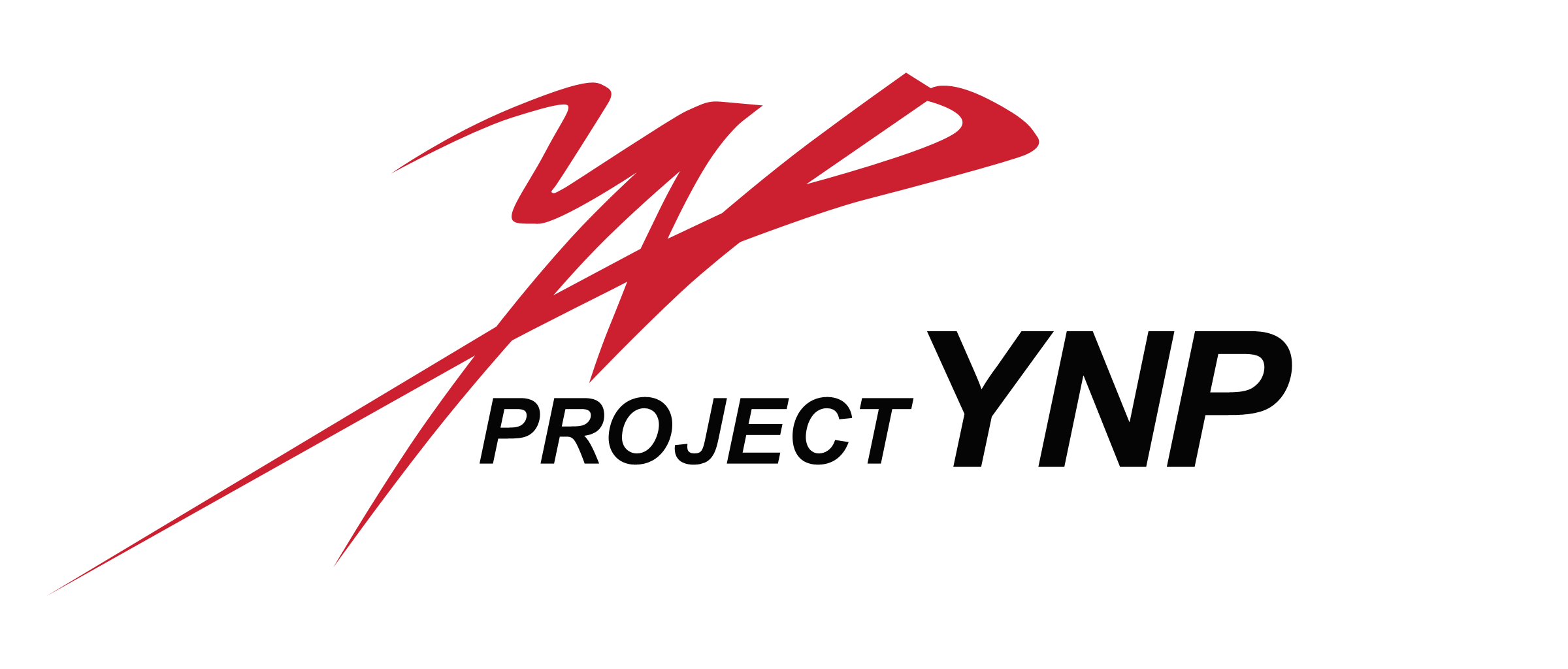 PROJECT YNP